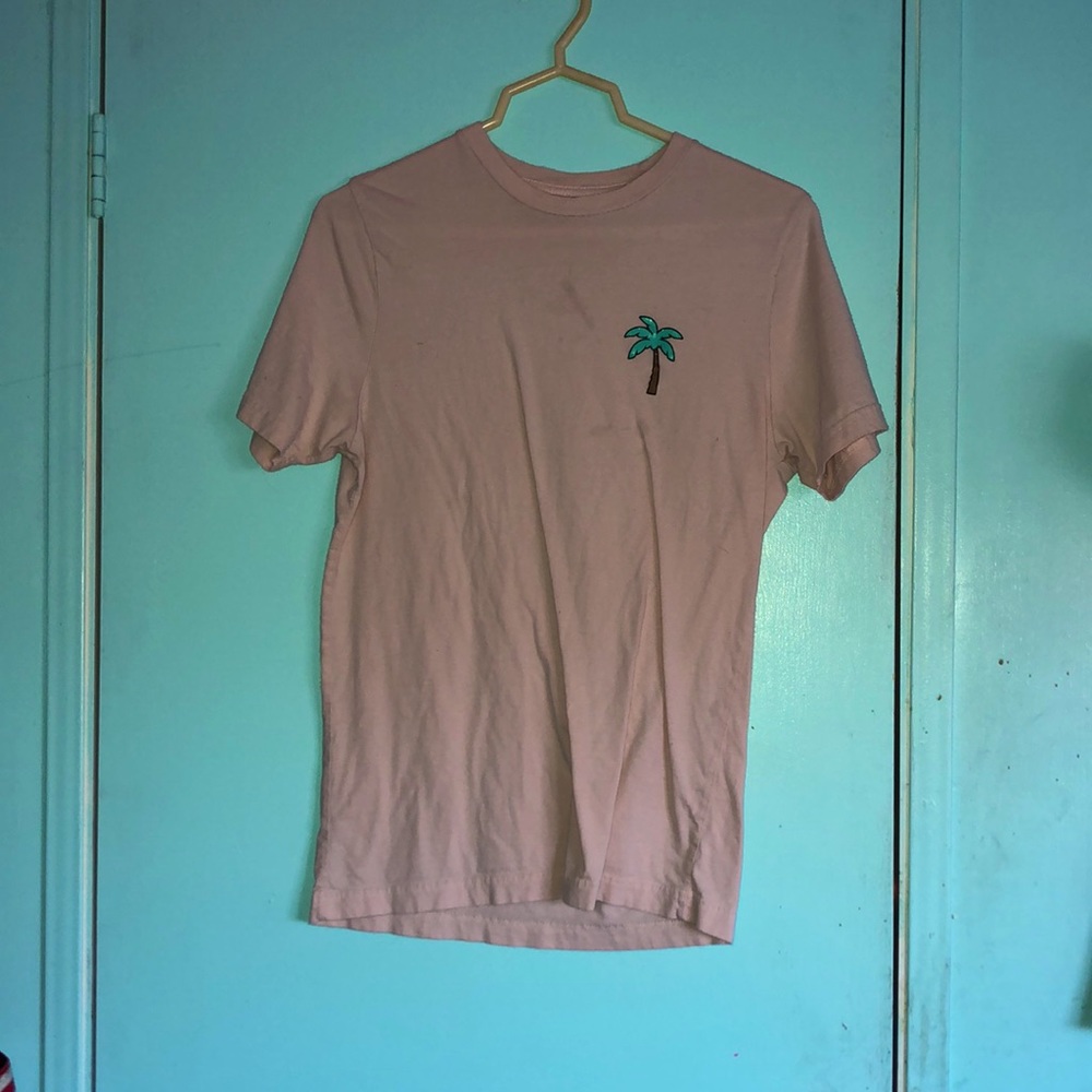 Light pink palm tree top